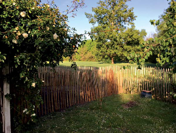 Bordeaux Bois Services Achat Bois Bordeaux ACCUEIL TELEPHONIQUE