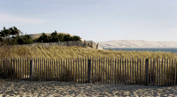 Bordeaux Bois Services Achat Bois Bordeaux CLOTURE GIRONDINE